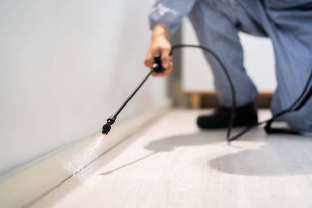 Professional exterminator conducting IPM assessment in Middleton
